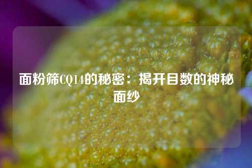 面粉筛CQ14的秘密：揭开目数的神秘面纱