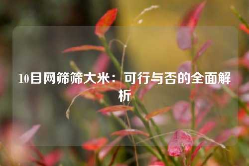10目网筛筛大米：可行与否的全面解析