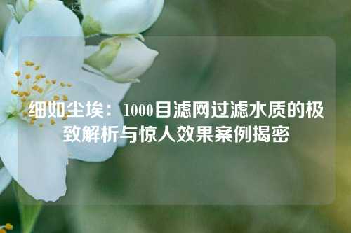 细如尘埃：1000目滤网过滤水质的极致解析与惊人效果案例揭密