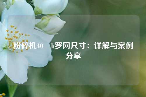 粉碎机40–b罗网尺寸:详解与案例分享