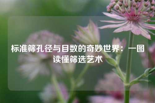 标准筛孔径与目数的奇妙世界：一图读懂筛选艺术