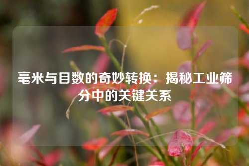 毫米与目数的奇妙转换：揭秘工业筛分中的关键关系