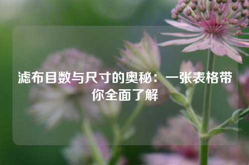 滤布目数与尺寸的奥秘：一张表格带你全面了解