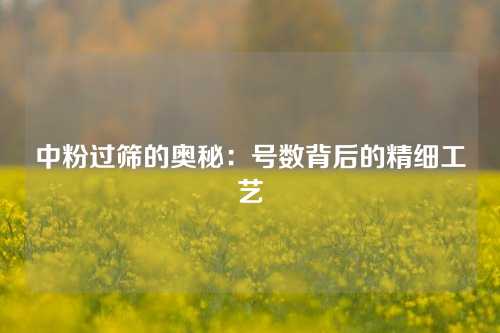 中粉过筛的奥秘：号数背后的精细工艺