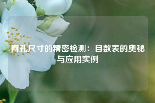 网孔尺寸的精密检测：目数表的奥秘与应用实例