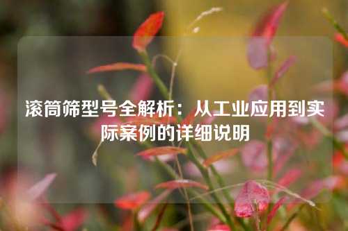 滚筒筛型号全解析：从工业应用到实际案例的详细说明