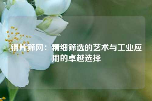 钢片筛网：精细筛选的艺术与工业应用的卓越选择