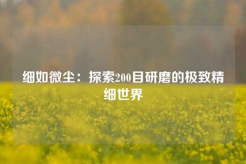 细如微尘：探索200目研磨的极致精细世界