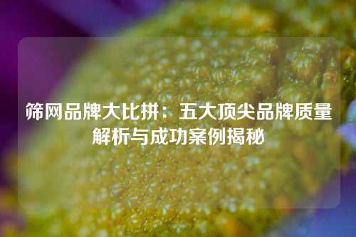 筛网品牌大比拼:五大顶尖品牌质量解析与成功案例揭秘