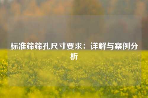 标准筛筛孔尺寸要求：详解与案例分析