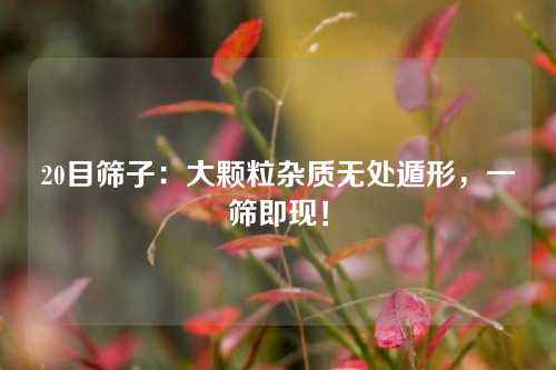 20目筛子：大颗粒杂质无处遁形，一筛即现！