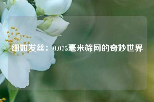 细如发丝：0.075毫米筛网的奇妙世界