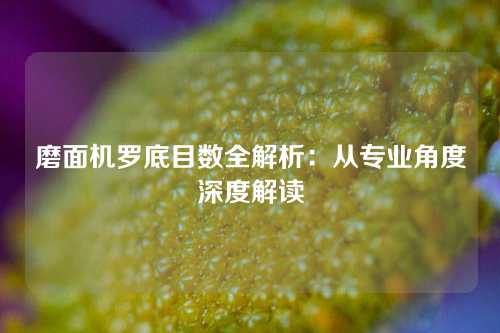 磨面机罗底目数全解析：从专业角度深度解读
