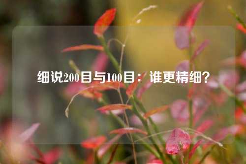细说200目与100目：谁更精细？