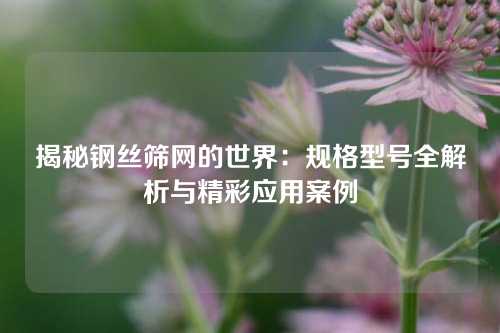 揭秘钢丝筛网的世界:规格型号全解析与精彩应用案例
