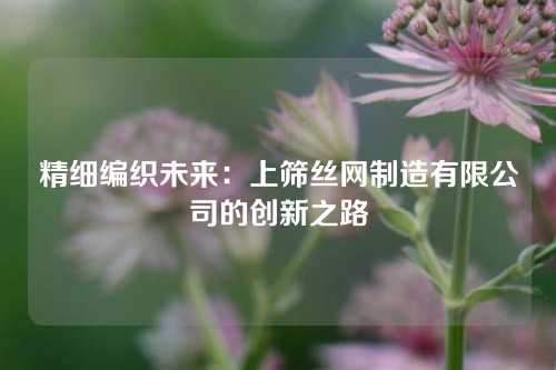 精细编织未来：上筛丝网制造有限公司的创新之路