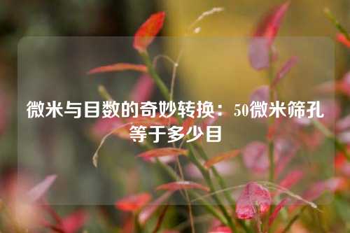 微米与目数的奇妙转换：50微米筛孔等于多少目