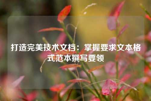 打造完美技术文档：掌握要求文本格式范本撰写要领