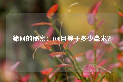 筛网的秘密:100目等于多少毫米?