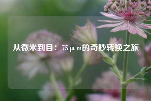 从微米到目：75μm的奇妙转换之旅