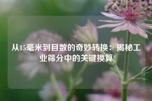 从15毫米到目数的奇妙转换：揭秘工业筛分中的关键换算