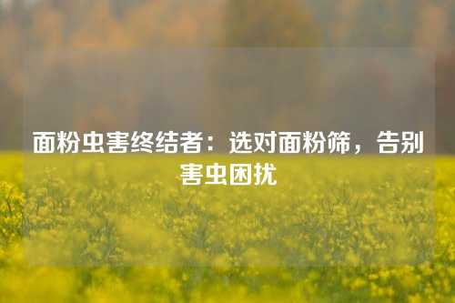 面粉虫害终结者：选对面粉筛，告别害虫困扰
