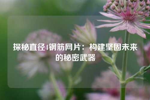 探秘直径4钢筋网片:构建坚固未来的秘密武器