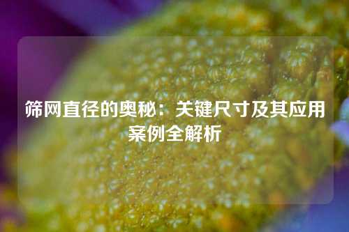 筛网直径的奥秘：关键尺寸及其应用案例全解析