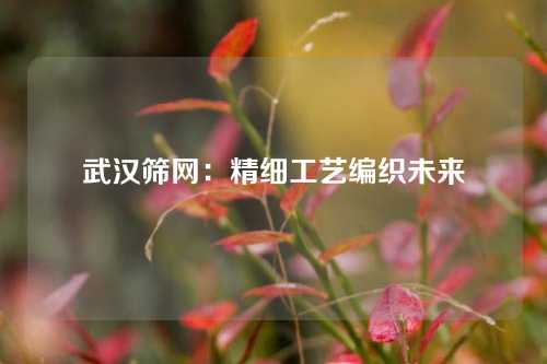 武汉筛网：精细工艺编织未来