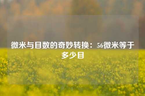 微米与目数的奇妙转换：56微米等于多少目