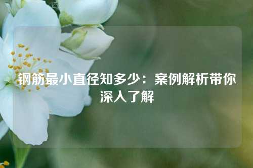 钢筋最小直径知多少：案例解析带你深入了解
