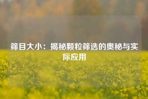 筛目大小：揭秘颗粒筛选的奥秘与实际应用