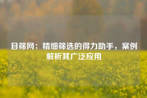 目筛网：精细筛选的得力助手，案例解析其广泛应用