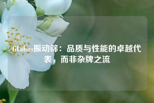 GLobus振动筛：品质与性能的卓越代表，而非杂牌之流
