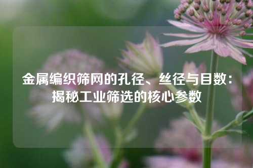 金属编织筛网的孔径、丝径与目数：揭秘工业筛选的核心参数