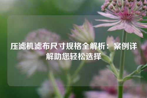 压滤机滤布尺寸规格全解析：案例详解助您轻松选择