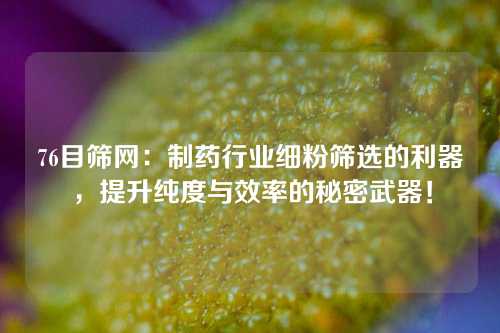 76目筛网：制药行业细粉筛选的利器，提升纯度与效率的秘密武器！