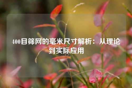 400目筛网的毫米尺寸解析：从理论到实际应用