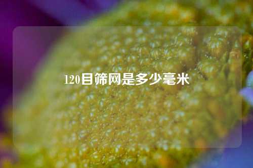 120目筛网是多少毫米