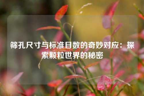筛孔尺寸与标准目数的奇妙对应：探索颗粒世界的秘密