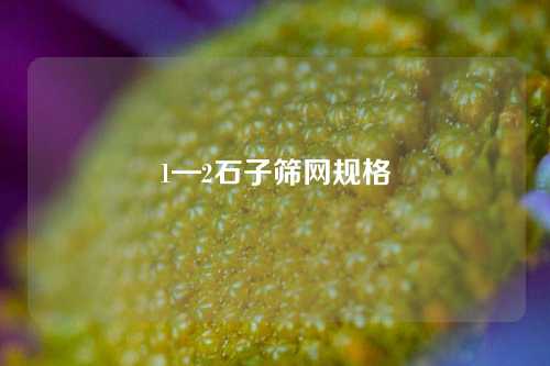 1—2石子筛网规格