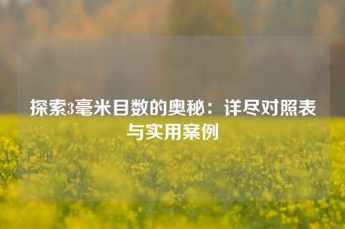 探索3毫米目数的奥秘：详尽对照表与实用案例