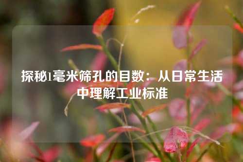 探秘1毫米筛孔的目数：从日常生活中理解工业标准