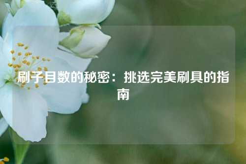 刷子目数的秘密：挑选完美刷具的指南