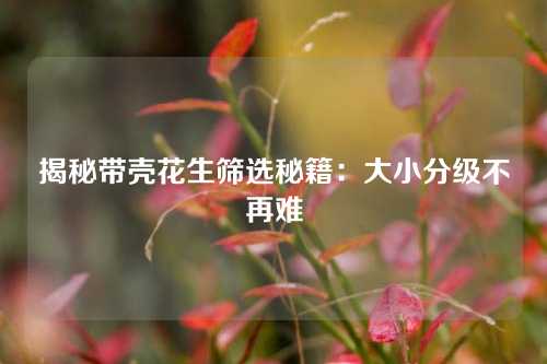 揭秘带壳花生筛选秘籍：大小分级不再难
