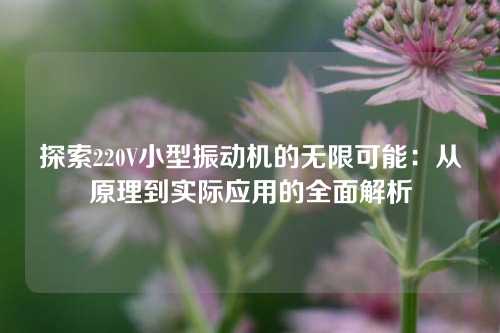 探索220V小型振动机的无限可能：从原理到实际应用的全面解析