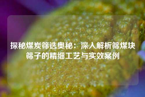 探秘煤炭筛选奥秘：深入解析筛煤块筛子的精细工艺与实效案例