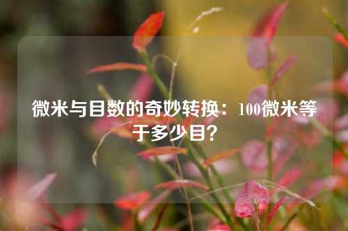 微米与目数的奇妙转换：100微米等于多少目？