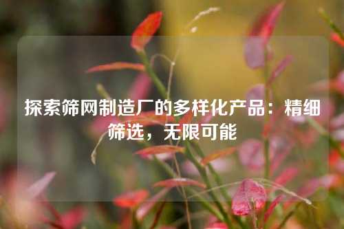 探索筛网制造厂的多样化产品:精细筛选,无限可能