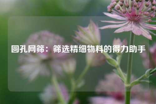 圆孔网筛：筛选精细物料的得力助手